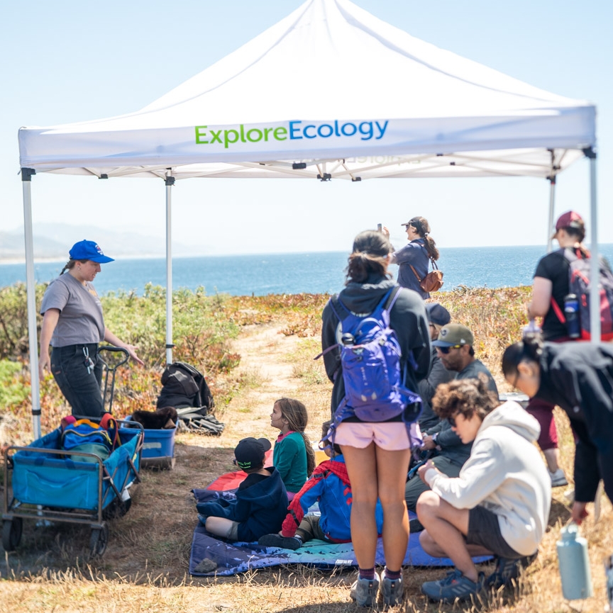 Families engage in hands-on nature education on a nature preserve. 